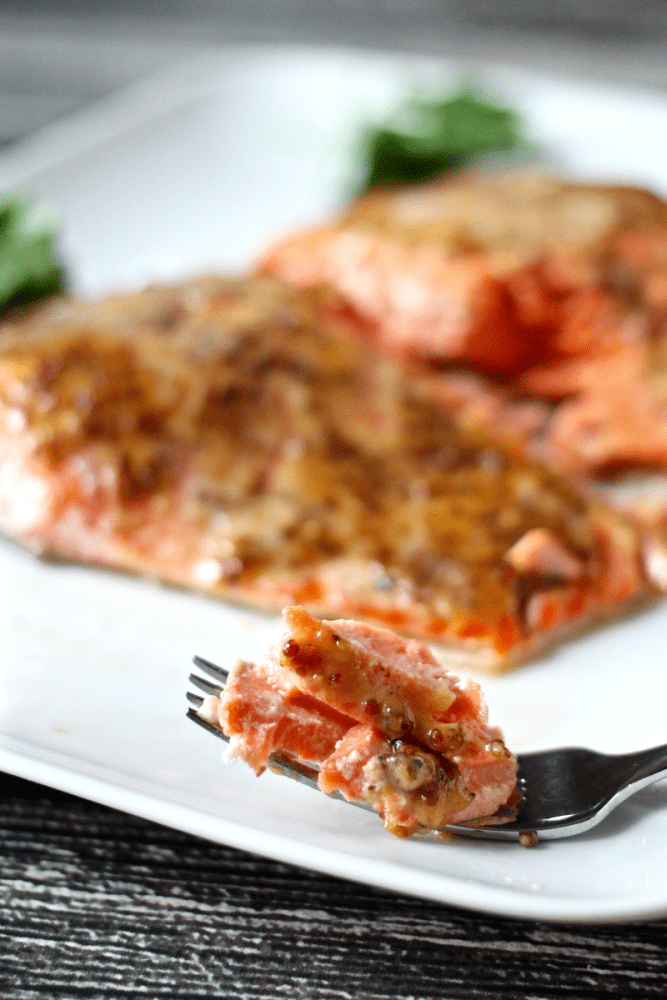 Honey Mustard Baked Salmon Easy Recipe