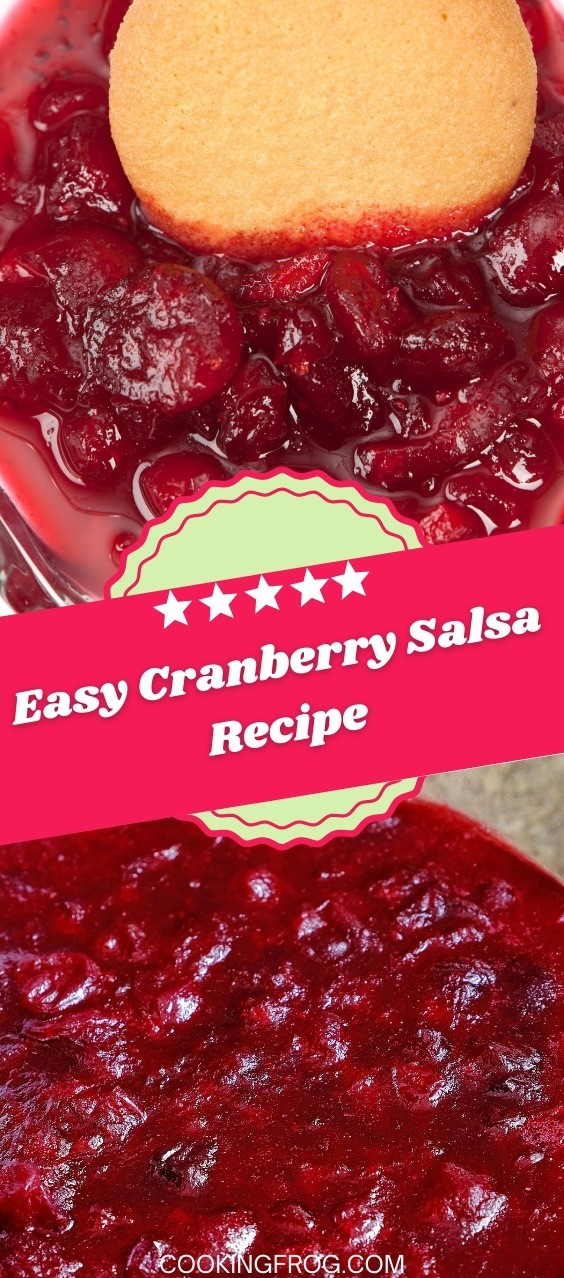 Easy Cranberry Salsa Recipe
