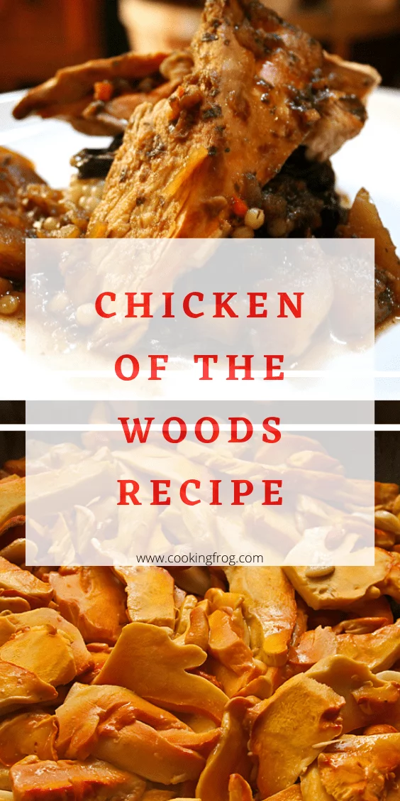 Chicken of the Woods Recipe - Cooking Frog