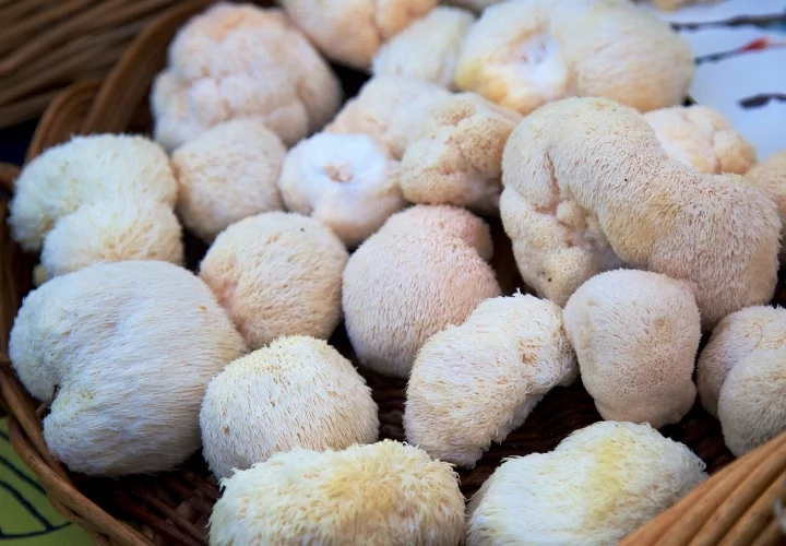 Lion's Mane Mushroom Recipe