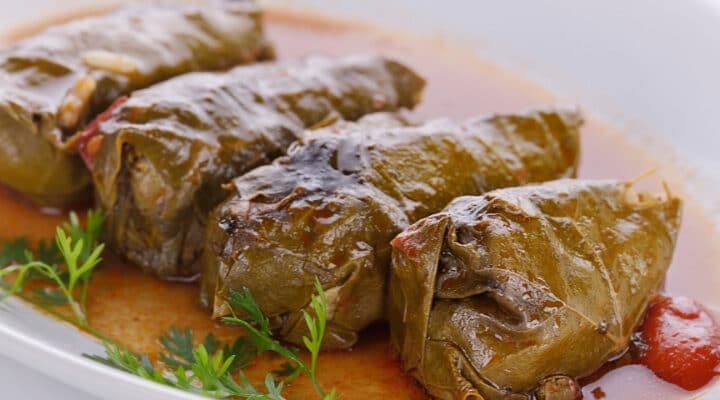 Homemade Greek Dolmades Easy Recipe