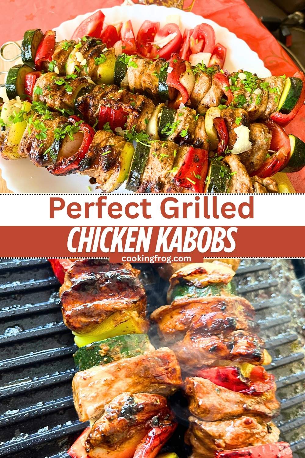 Grilled Chicken Kabobs with Balsamic Marinade 5