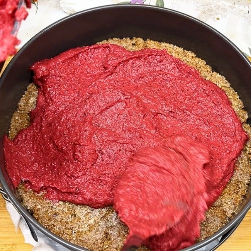 Raw Raspberry Coconut Cake