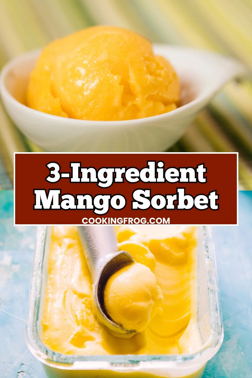 3 Ingredient Mango Sorbet 3